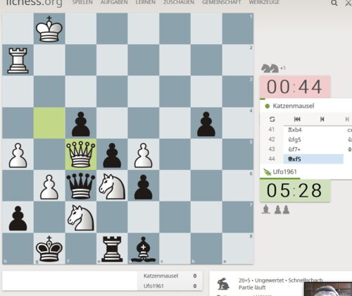 Zoom-Chat mit der Schlußstellung der Partie Sommaro gegen Sabrowski